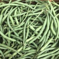 Southern Style Green Beans (no pork)