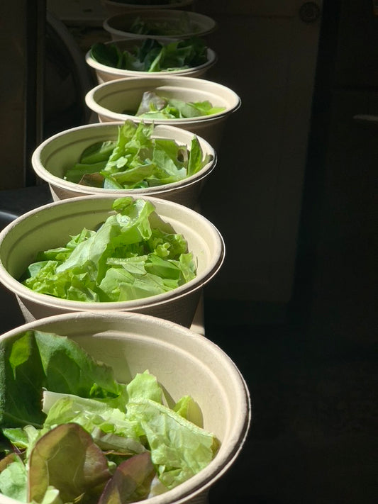 Side Salad